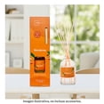 thumbnail image 4 of Difusor Mainstays Mandarina 80 Ml, 4 of 4