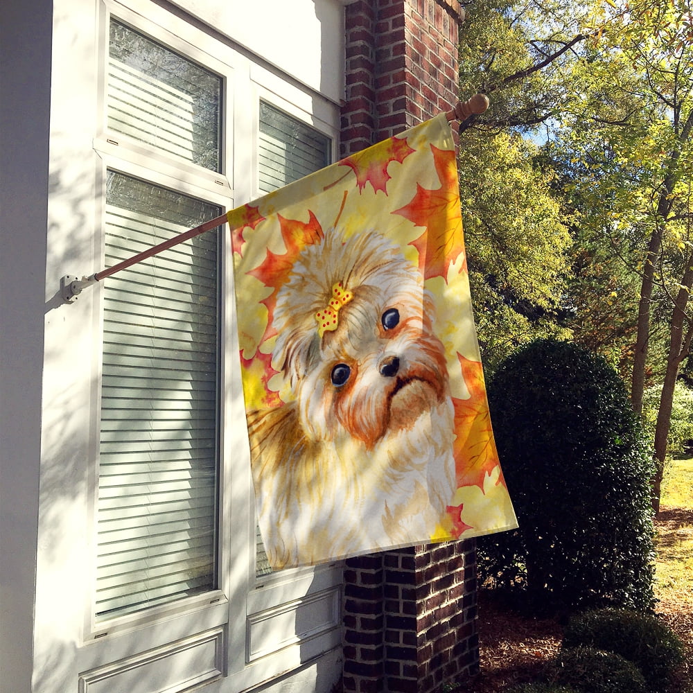 Carolines Treasures BB9929CHF Morkie Fall Flag Canvas House Size  Large multicolor