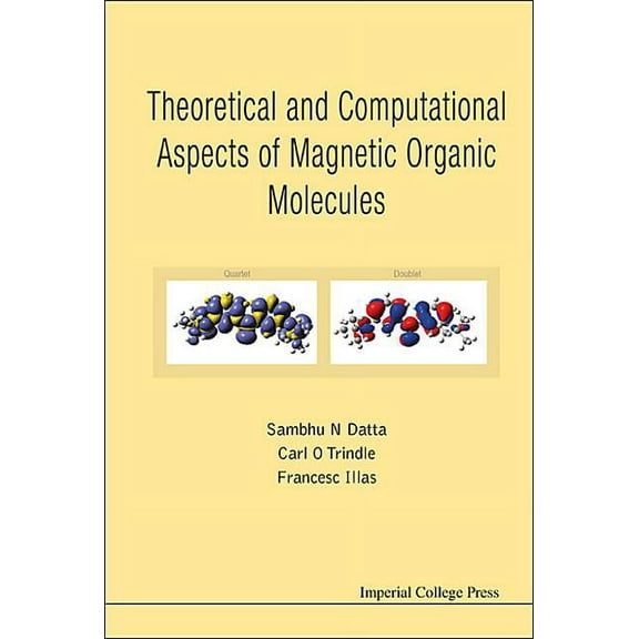 Thereotical and Computational Aspects of Magnetic Organic .., (Hardcover)