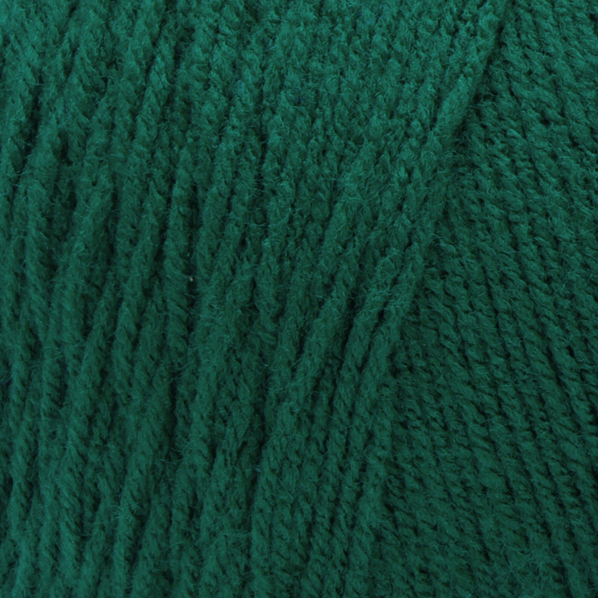 Red Heart® Super Saver Jumbo™ #4 Worsted Acrylic Yarn, Paddygreen 14oz/396g 744 Yards (2 Pack)