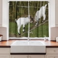 thumbnail image 2 of Ambesonne Animal Kitchen Curtains, Farm Life with Goats, 55"x45", White Green, 2 of 3