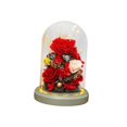 thumbnail image 3 of Flores Decoración de la cubierta de vidrio, regalo de la madre, flores preservadas con base, regalos románticos de amor flores preservadas rojo BLESIY Flores Preservadas, 3 of 8