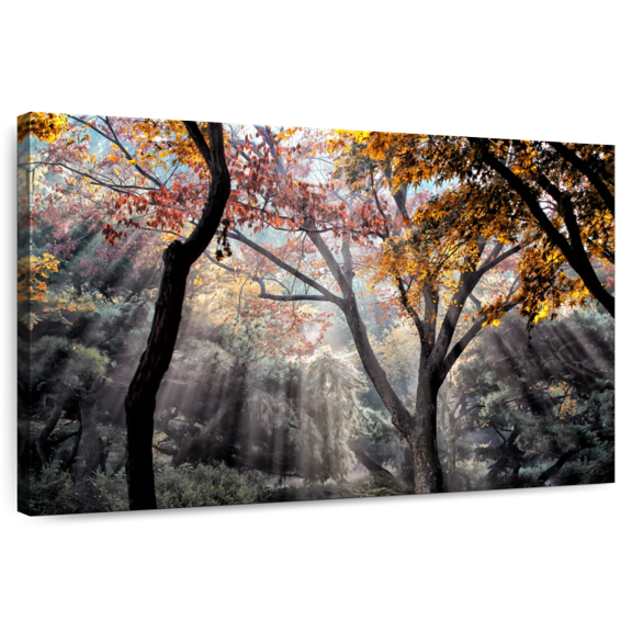 Elephant Stock Forest Sun Rays Wall Art - Horizontal Canvas Wall Art - Living Room Wall Decor - Nature Canvas - Gray And Black Decor - 12" x 8"