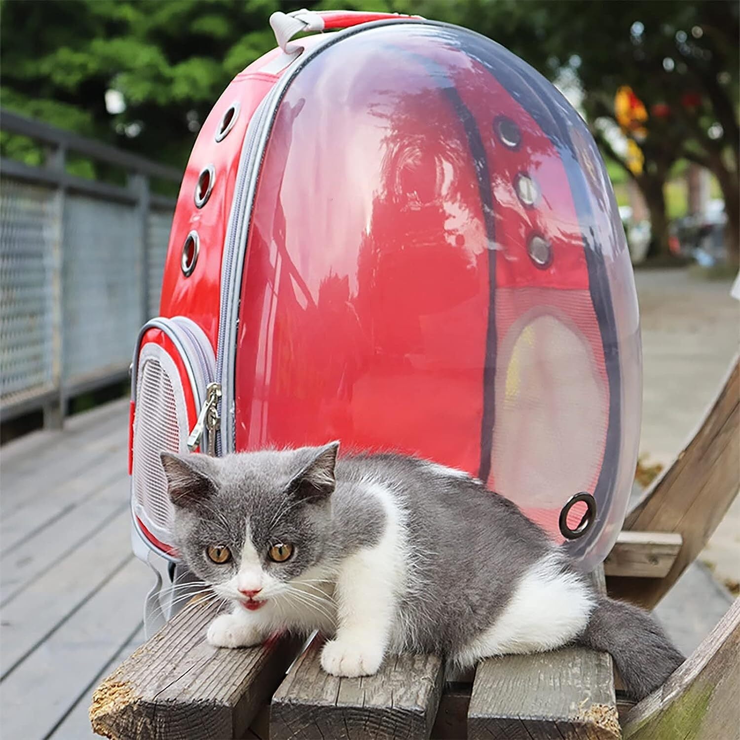GoXteam Large Cat Carrier Backpacks Dog Carriers, Portable Pet Travel Carrier, Transparent and Breathable Design, Airline Approved, Ideal for Traveling/Hiking/Camping, Red