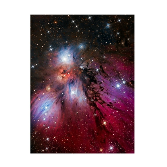 Trademark Fine Art Vikas Chander The Angel Nebula Canvas Wall Art