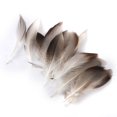 thumbnail image 2 of 50pcs Suave Artesanías Plumas de Avestruz para 2-7cm Artesanía Sombrero, 2 of 9