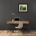thumbnail image 3 of Huang, Xiaojian 14x12 Black Ornate Wood Framed with Double Matting Museum Art Print Titled - A Shower Of Diamonds, 3 of 4
