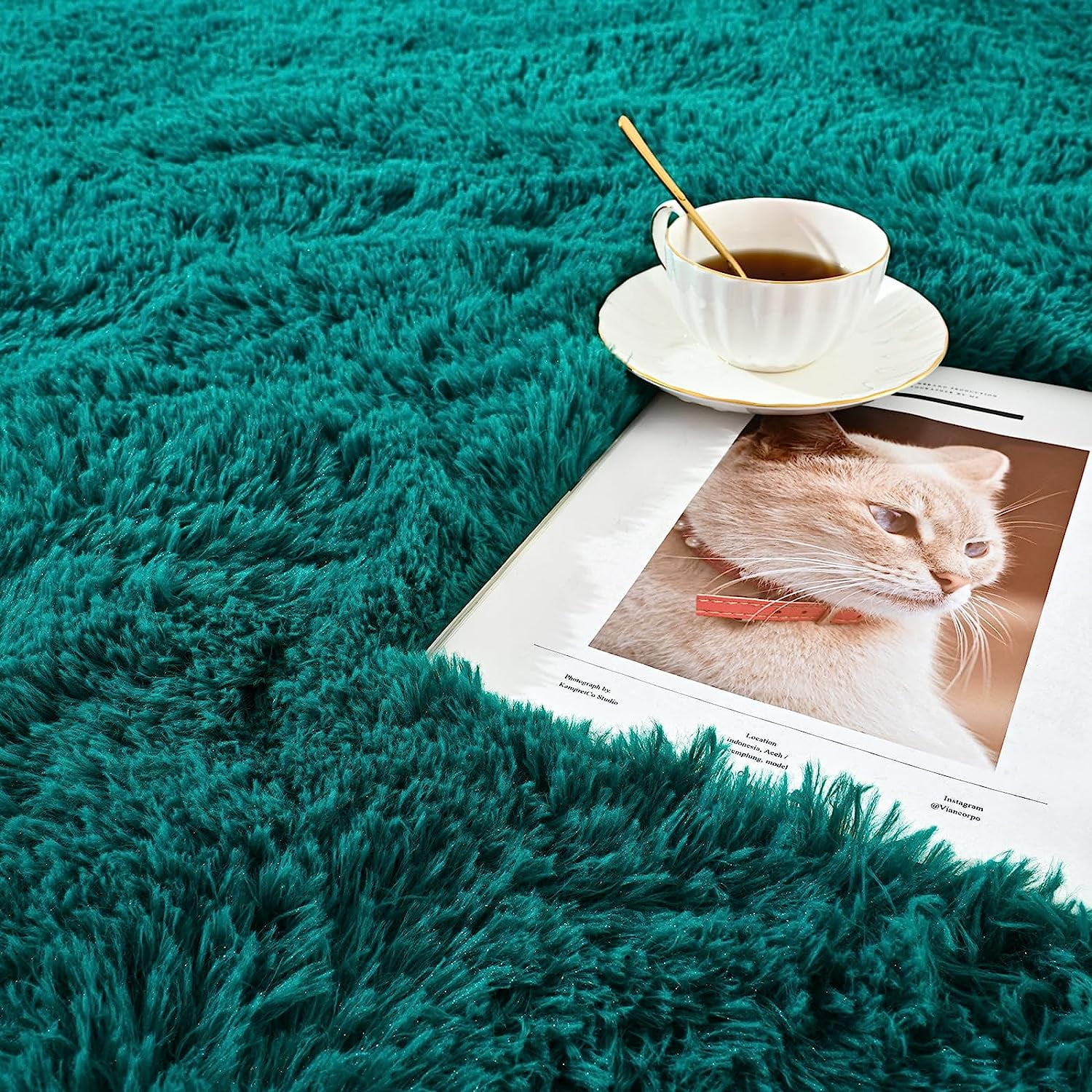 Junovo Super Soft Fluffy Area Rugs Modern Shag Rug for Bedroom Living Room,Cute Carpets for Kids Nursery Girls Home Dorm,5'x8',Aqua Green