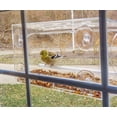 thumbnail image 6 of JCs Wildlife All Acrylic Window Bird Feeder - Holds 2 Cups of Bird Seed, 6 of 6