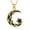 Gold, variant on Cremation Jewelry Urn Necklace for Ashes for Men Women Star Moon Ash Pendant Keepsake Memorial Lockets Jewelry for Loved Ones