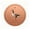 Copper Tone, variant on Bird Bath Copper Disc,0.6mm Reinforced 99.99% Pure Copper Cleaning Disk for Physical Safe Clean Water for Outdoor Birdbaths