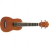 Ibanez Ukulele