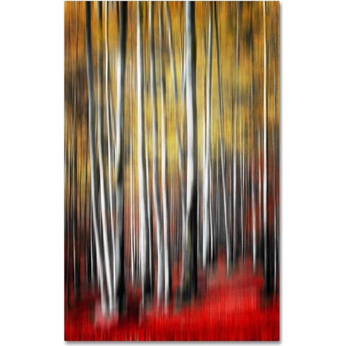 Trademark Fine Art "Osmosis" Canvas Art by Philippe Sainte-Laudy