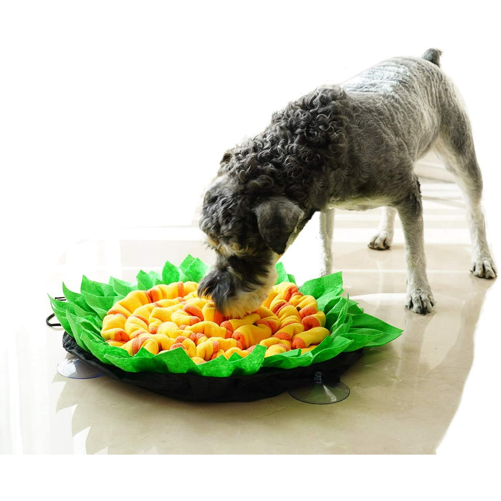 Dog activity toys hot sale