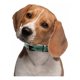 thumbnail image 3 of Collar Para Perros Raza Ch Med Y Gde Tipo Piel Ajustable, 3 of 8