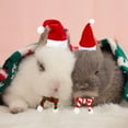 thumbnail image 6 of Dalrosia Small Animal Christmas Costume,Mini Santa Hat Scarf for Hamster Rabbit Guinea Pig Chinchilla Hedgehog Lizard Bearded Dragon Xmas Party Supply, 6 of 6
