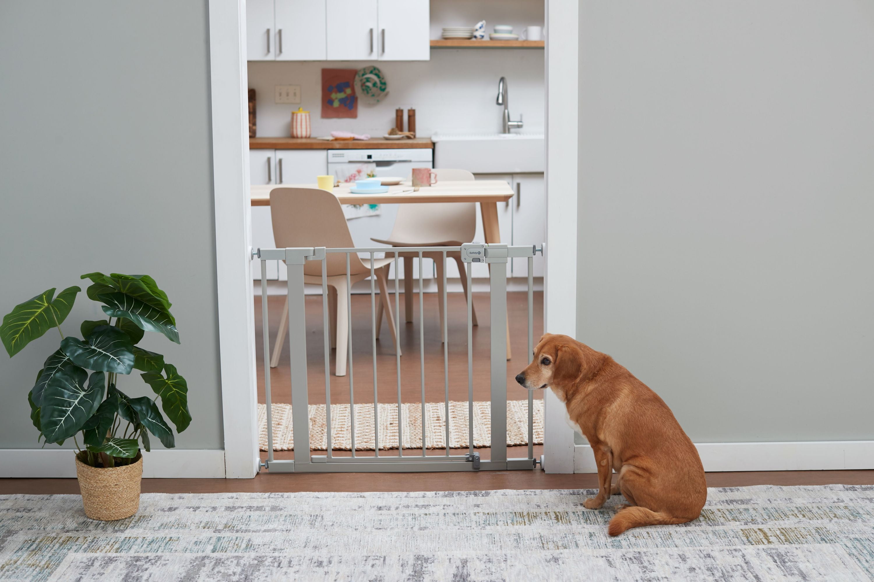 Safety 1st Pressure Mounted Baby Gates for Doorways, SecureTech® No-Drill, With Door, 29-38", Gray