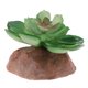 thumbnail image 2 of El adorno de plantas suculentas de terrario de reptiles tus una 3 Gloria Adorno de acuario, 2 of 7