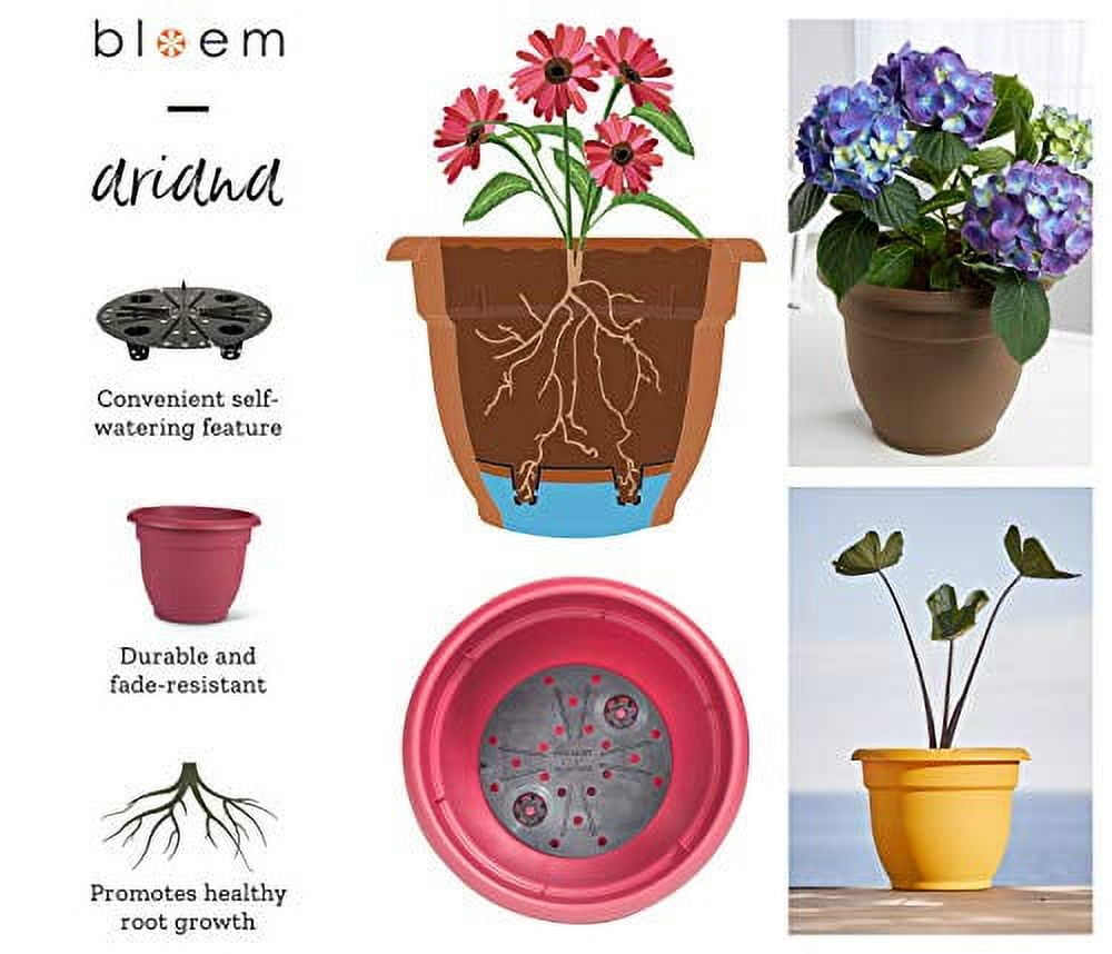 Bloem Ariana Planter - Self-Watering Disk, Durable Resin, Indoor/Outdoor - 16", Chocolate — Residential Use, Standard Application