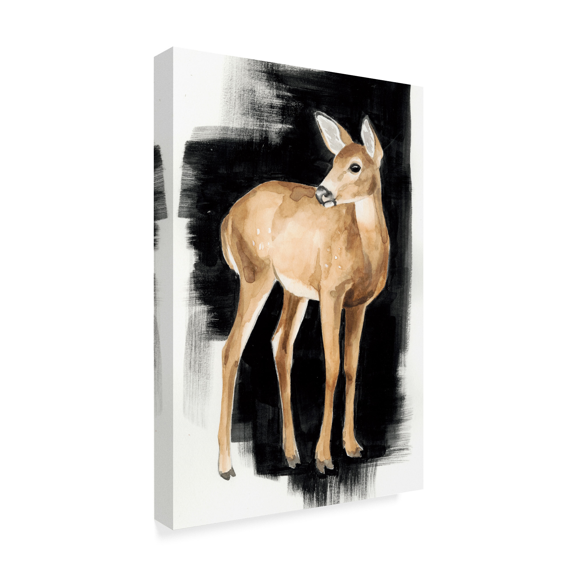 Trademark Fine Art 'Nocturnal II' Canvas Art by Grace Popp