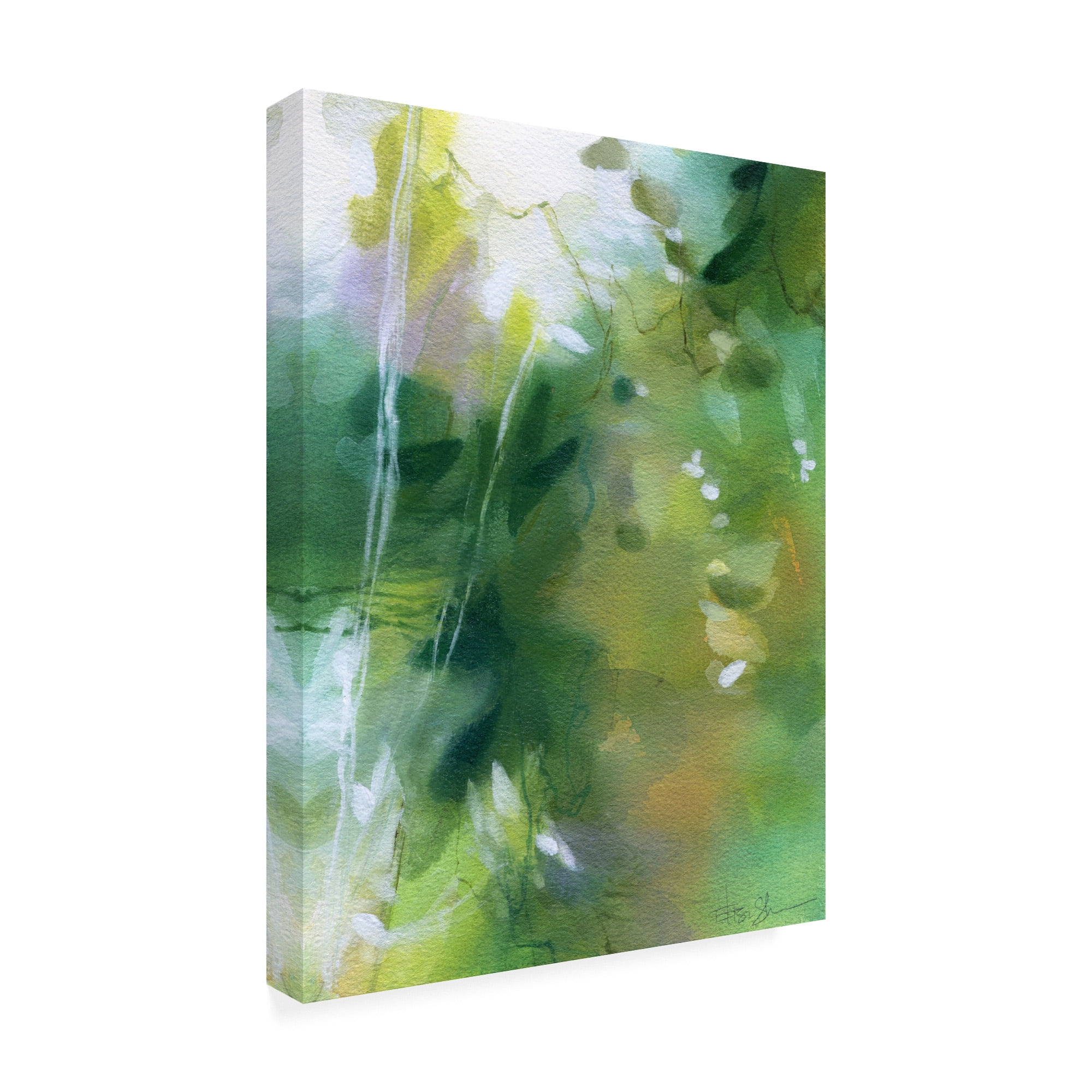 Trademark Fine Art 'Verdant Shallows I' Canvas Art by Elisa Sheehan