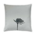 thumbnail image 2 of Ahgly Company Plants Palm Tree Outdoor Throw Pillow, 18 inch by 18 inch, 2 of 6