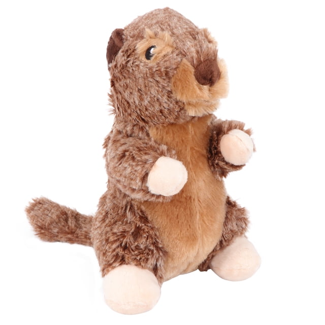 Miangastore 1pc Adorable Pet Teeth Toy Pet Molar Toy Pet Plush Toy Dog Interactive Toy