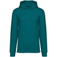 thumbnail image 1 of Native Spirit  Adult Heavyweight Hoodie, 1 of 3