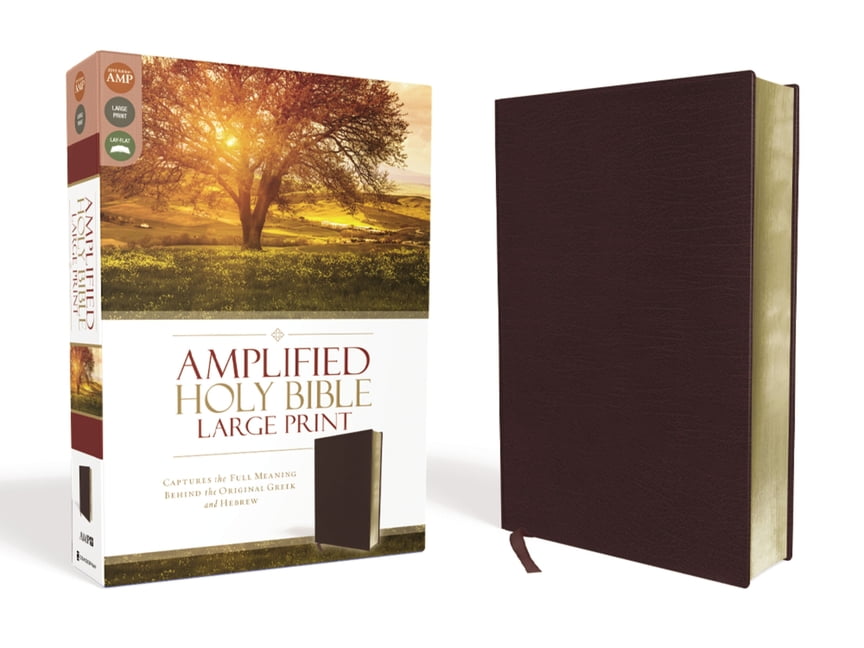 Amplified BibleAmLarge Print Captures the Full Meaning Behind the