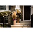 thumbnail image 3 of Vickerman FH190565 36 in. Burgundy Money Leaf Spray, 3 of 5