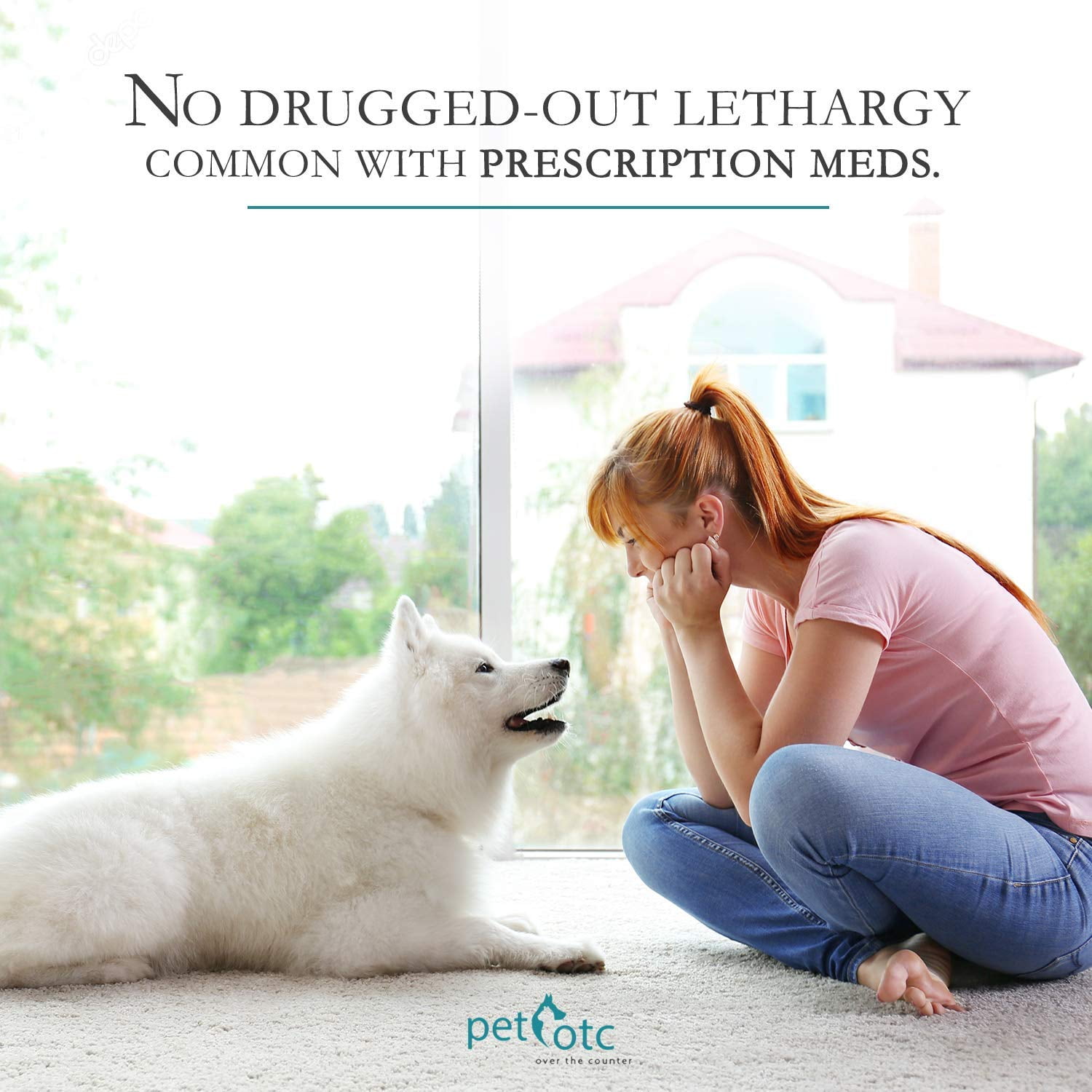 otc meds for dog anxiety