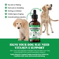 thumbnail image 4 of Vitamin E for Dogs Liquid 250 IU - Vitamin E Oil for Dogs Skin and Coat Support - Dog Immune Support Antioxidant Supplement - Bacon Flavor - 60 Servings - 2 oz, 4 of 7