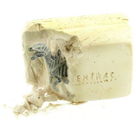 Dino Skeleton Excavation Dig Mini Kit