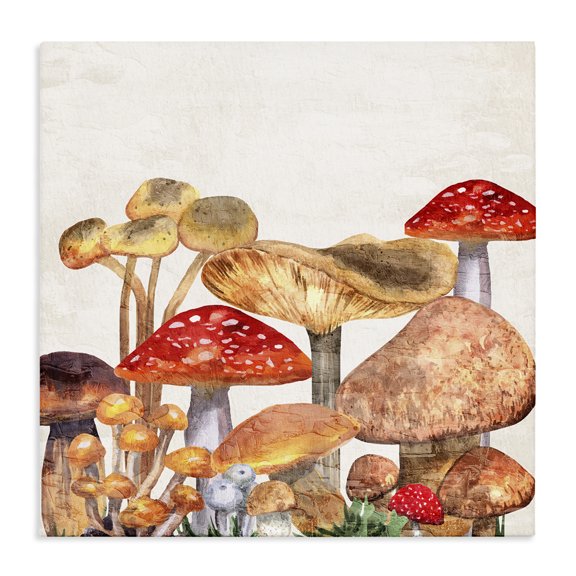 Stupell Industries Rustic Lodge Rustic Woodland Mushrooms Canvas Art, 30 x 30, by Kim Allen