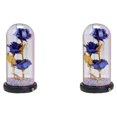 thumbnail image 1 of Wosthever Rose Flower In Day Light LED Valentine's Decor azul 2Conjunto, 1 of 1