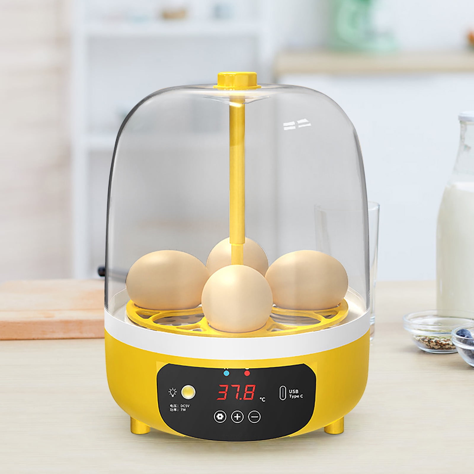 Danieerclosy Mini Egg Incubator for Kids with Temperature Display, Educational Chick Hatcher Kit for Classroom Science Projects & Homeschool Biology Learning
