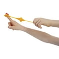 thumbnail image 2 of Toysmith Chicken Flinger, 2 of 3