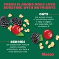 thumbnail image 4 of NATOO Biscuits for Small Dogs & Puppies Crunchy Dog Treats, Oats & Berry Healthy Natural Canine Biscuits, Rich in Omega 6, Prebiotics & Fibers, Antioxidants for Immunity (8 oz), 4 of 8
