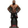 Advanced Graphics UFC- Rampage Jackson Cardboard Stand-Up