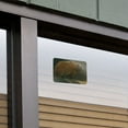 thumbnail image 5 of Grizzly Bear in the Morning Glow Home Business Office Sign, 5 of 7