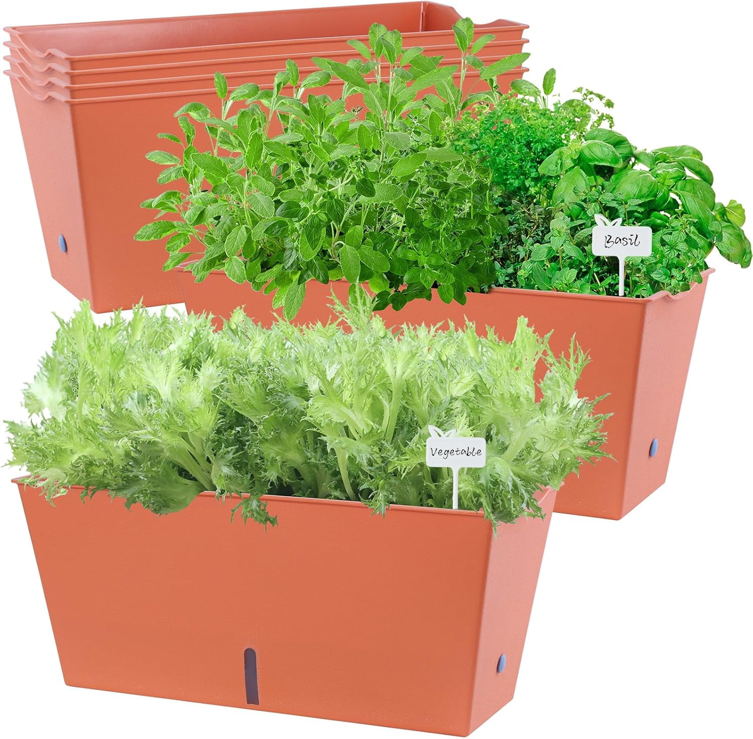 Window Box Planter 6 Pcs, 16.5 Inches Self Watering Rectangle Flower Plant Pots with Drainage Holes Trays, Vegetable Planters for Windowsill Patio Garden Balcony Porch Yard (Khaki)