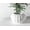 Mint, variant on Bunos Planter, Mint, Plant Lover Gift Pot