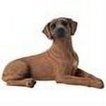 thumbnail image 2 of Sandicast "Small Size" Lying Rhodesian Ridgeback Dog Sculpture, 2 of 2