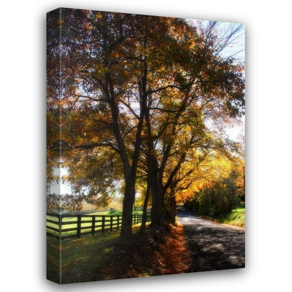 Alan Hausenflock 13x18 Gallery Wrapped Canvas Wall Art Titled - Country Road III