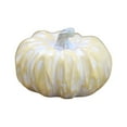 thumbnail image 1 of POINTERTECK Display Halloween Artificial Pumpkin Model Table Home Decoration Photo Props Birthday Party Resin Thanksgiving, 1 of 13