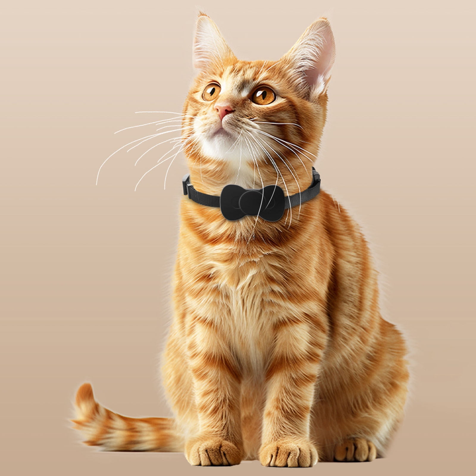 Pet GPS Tracker, Pet Collar Locator, Anti-Lost Tracking Device, for Cat Dog Outdoor Activity Safety Monitoring,