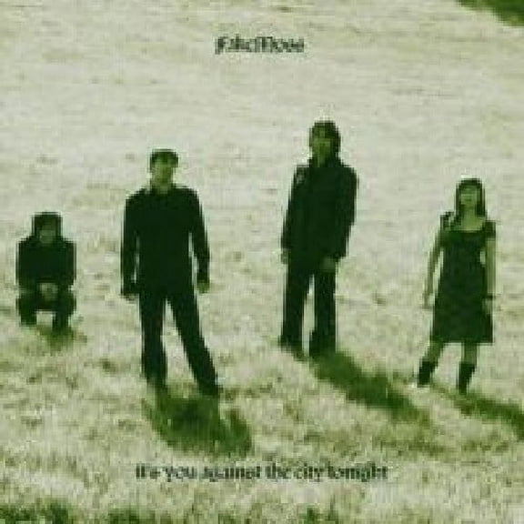 Fake Moss - It's You Against the City - Rock - CD