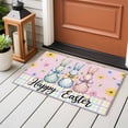 thumbnail image 4 of Entryway Rug 2'x3', Easter Bunny Small Rug for Kitchen Bathroom Door Mat Indoor Entrance, Spring Watercolor Polka Dot Flower Plaid Pink Non-Slip Area Rugs Floor Mats Carpet Front Door Rugs, 4 of 8