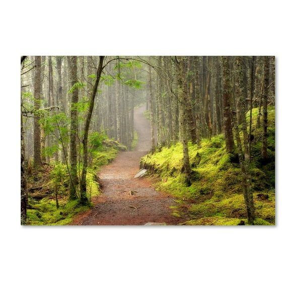 Trademark Fine Art 'Lubec Path' Canvas Art by Mike Jones Photo