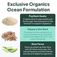 thumbnail image 5 of Organics Ocean Better Fiber - Suplemento diario de fibra - Suaviza las heces para defecar sin esfuerzo - con Psyllium Hulk y olmo resbaladizo - 90 cápsulas, 5 of 5